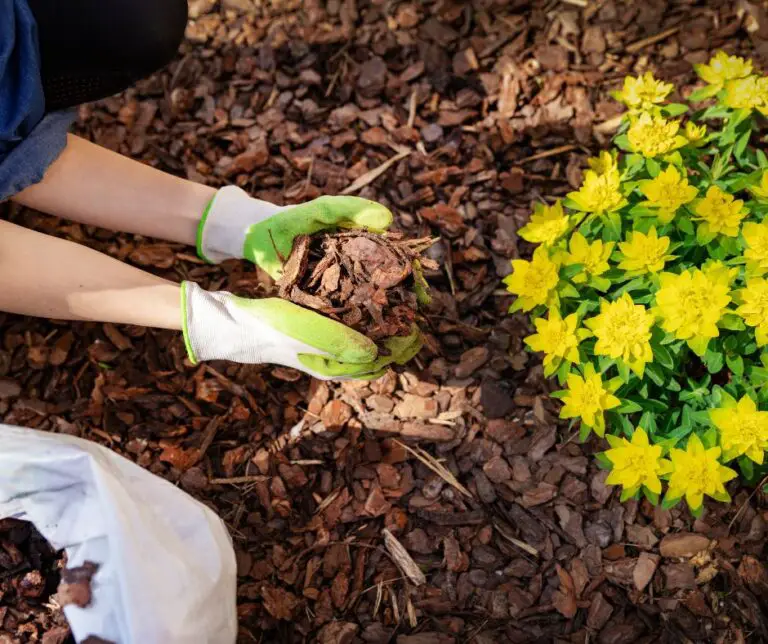 DIY Flower Beds