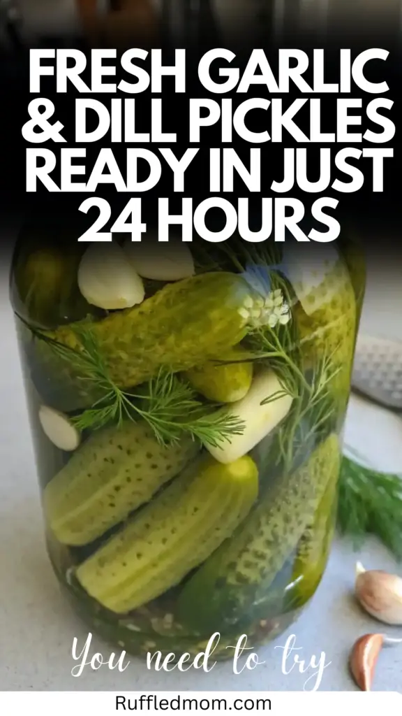 Garlic & Dill Pickles Ready in Just 24 Hours