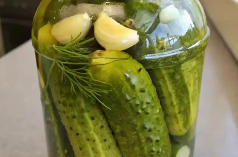 Fresh Garlic & Dill Pickles Ready in Just 24 Hours